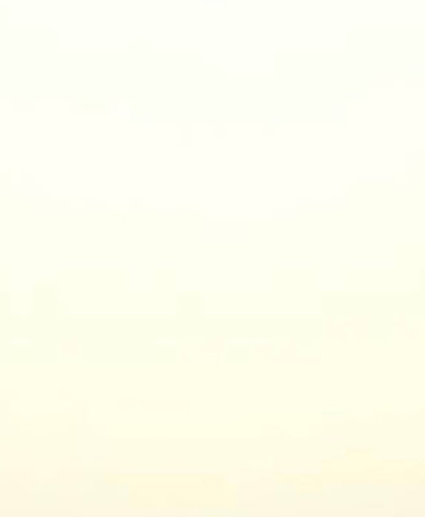 Meet your Posher, Selina - Picture 1 of 1